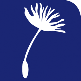 Favicon for Specialisterne