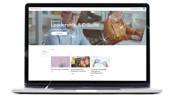 Leadership & C-Suite Pathway screenshot